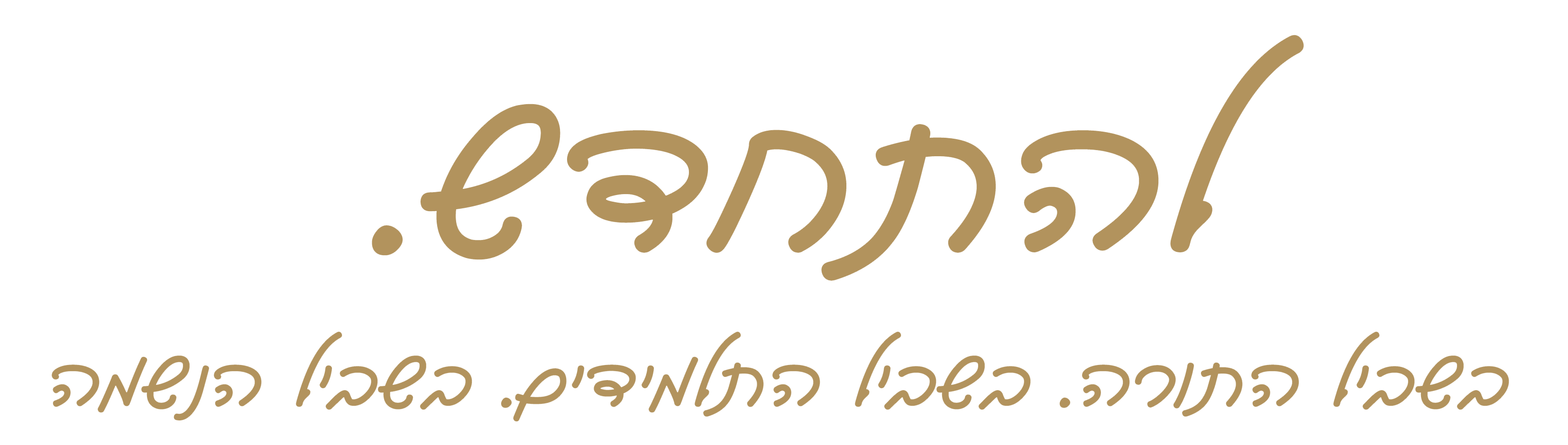 לדף נחיתה